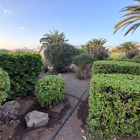 Amarilla Golf Scorpio * サンミゲル・デ・アボナ