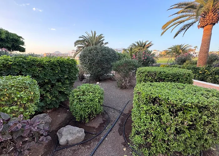 Amarilla Golf Scorpio * サンミゲル・デ・アボナ