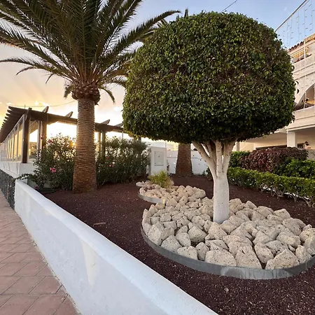 Amarilla Golf Scorpio *