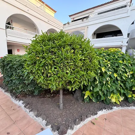 Apartment Amarilla Golf Scorpio *