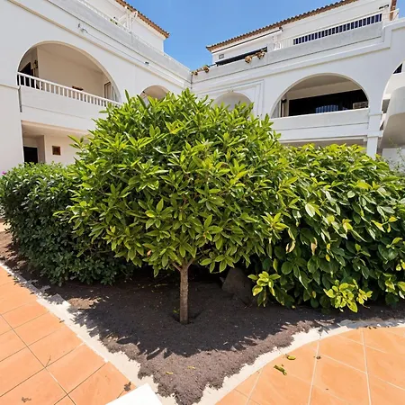 Apartament Amarilla Golf Scorpio