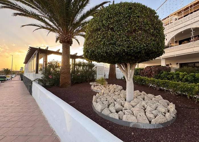 Amarilla Golf Scorpio *