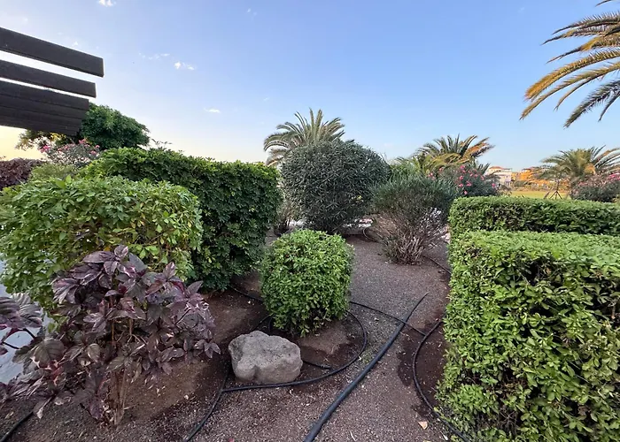 Amarilla Golf Scorpio Σαν Μιγκέλ ντε Αμπόνα